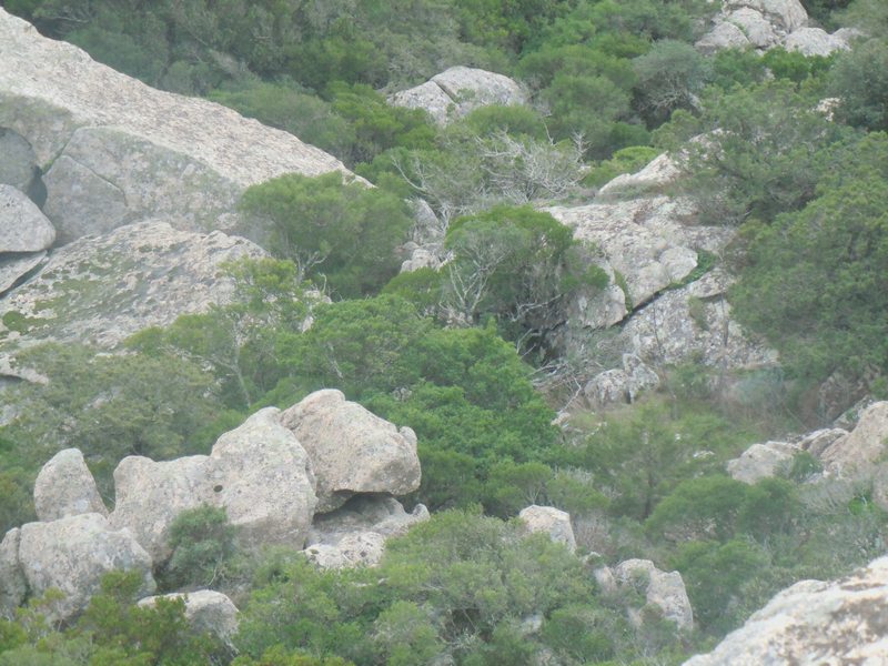 ....da Monte Moro (OT)